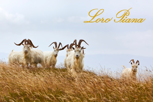 Loro Piana App Design iPad